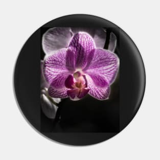 Purple Orchid Pin