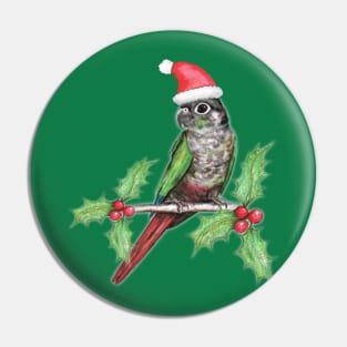 Christmas green cheeked conure Pin