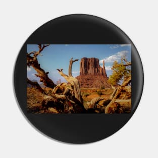 Monument Valley in Desert Southwest Pin