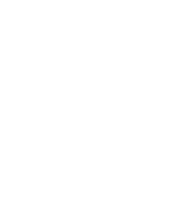 Level 100 App Developer Funny Programmer Gift Magnet