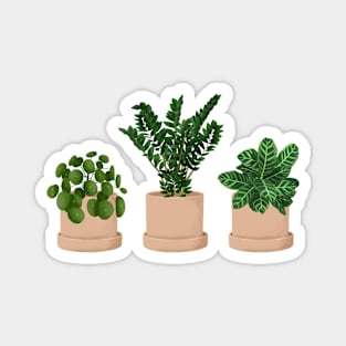 Potted Plants 3 Magnet