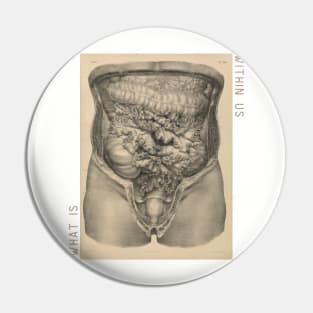 What is Within Us// Abdomen Pin