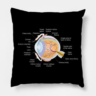 The anatomy of a human eye Pillow