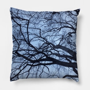 The Tree Sky Photography My Pillow