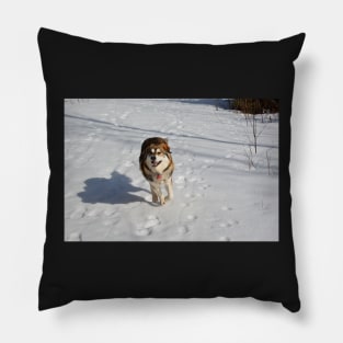 Running free in the snow Pillow