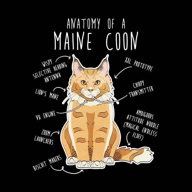 Maine Coon Cat Anatomy by Psitta