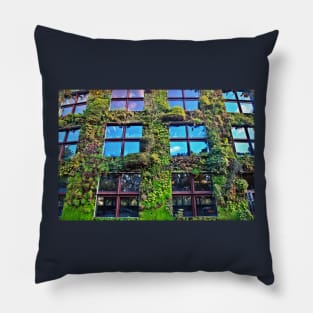 The Wallgarden Pillow