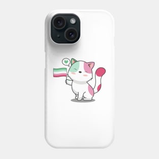 Cute Cat Holding Abrosexual Pride Flag Phone Case