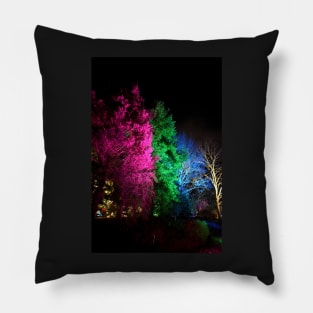 Winter Lights Pillow