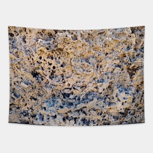 Coral Rock Texture Tapestry