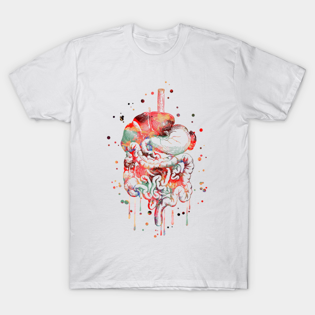 Digestive System Anatomy T Shirt Teepublic
