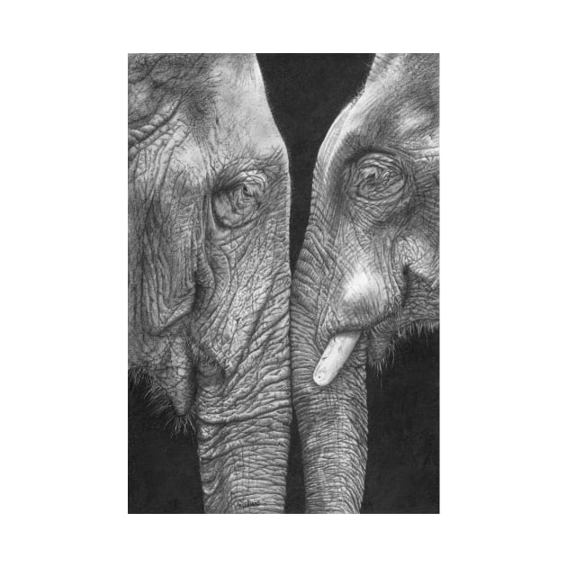 Eye To Eye realistic elephant drawing by Mightyfineart