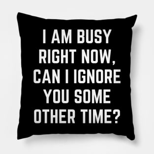 I Am Busy Right Now Can I Ignore You Some Other Time Pillow