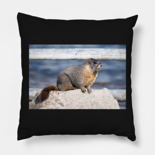 The Marmot Mentor Pillow