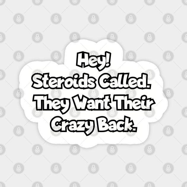 Hey! Steroids called. They want their crazy back. Magnet by Among the Leaves Apparel