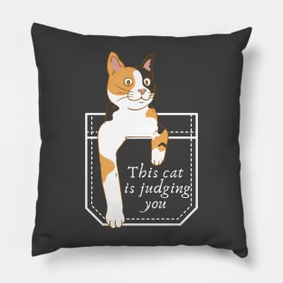 This cat is judging you Pillow