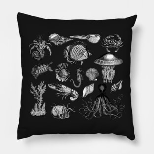 Vintage Sea Life Illustrations Pillow