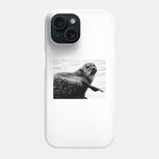 Harbor Seal Phone Case