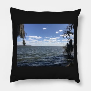 Florida Lake Pillow