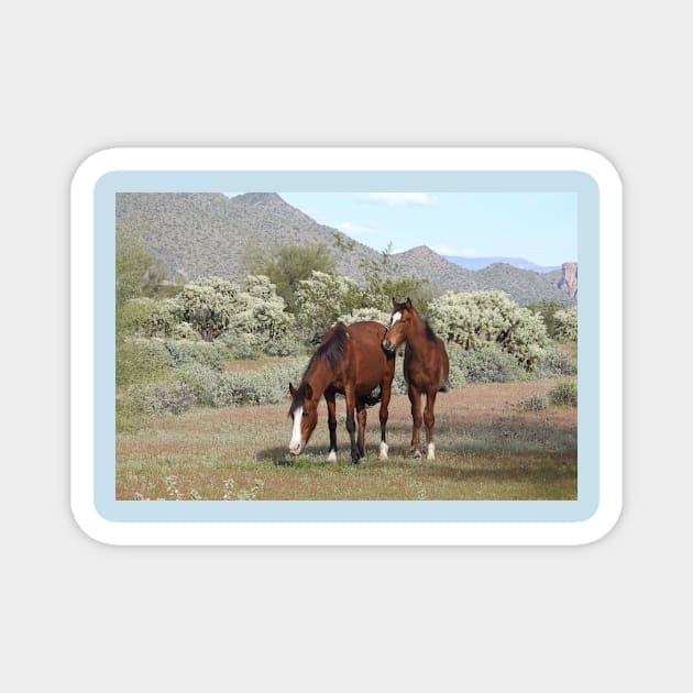 Wild horses, salt river, Sonoran desert, Arizona, wildlife gifts Magnet by sandyo2ly