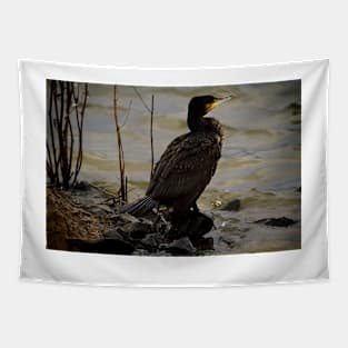 Cormorant resting in the winter sunshine Tapestry