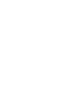 I Just Want to Swim in the Sea and be Free - Dolphin Magnet