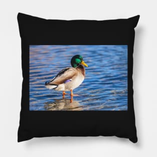 Mallard Pillow