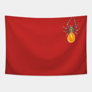 Arachnid Tapestry