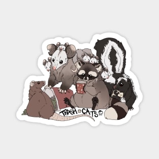 trash cats Magnet