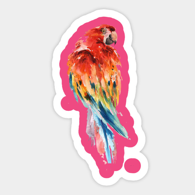 Parrot Watercolor Painting Bird Drawing Art Parrot Scarlet Macaw