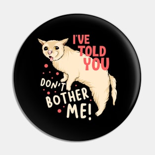 I've Told You Don't Bother Me Pin