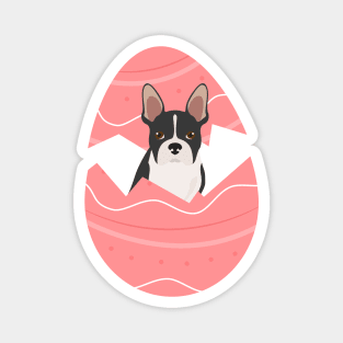 Boston Terrier Dog in Easter Egg Magnet