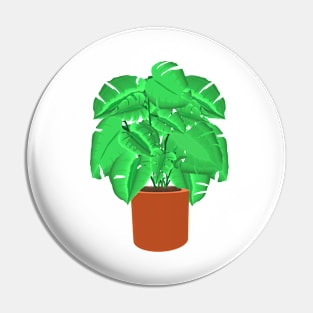 Voluminous Monstera Plant in Terracotta Clay Pot Pin