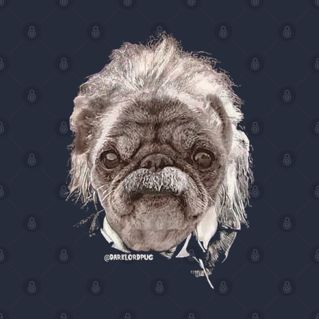 Albert einstein by darklordpug