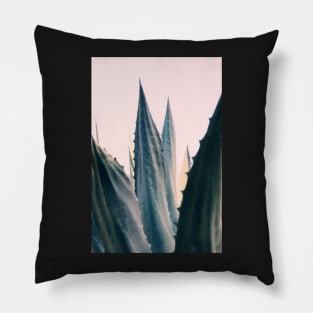 Agave Daydreams Pillow