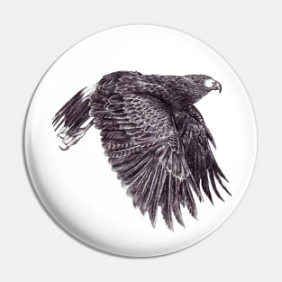 Harris’s Hawk Pin