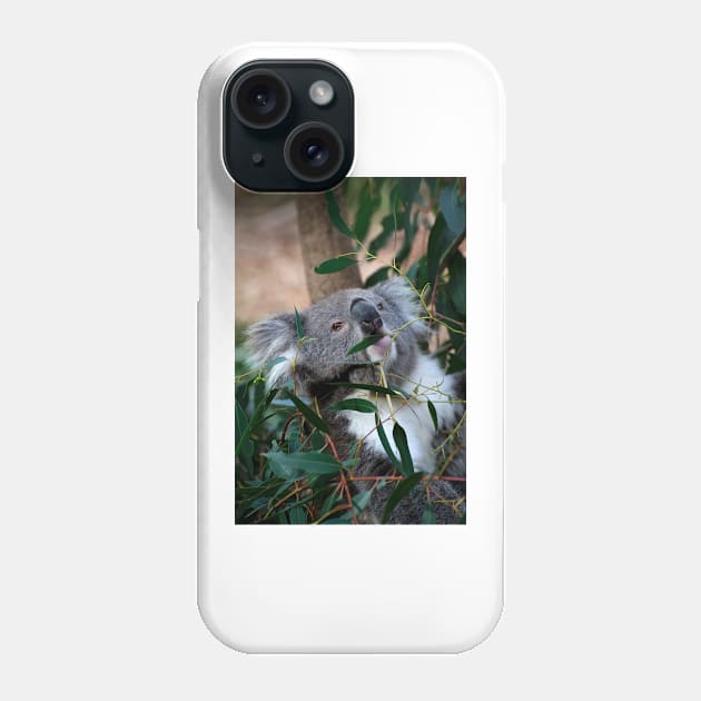 Feeding Time For Koalas Phone Case by GP1746