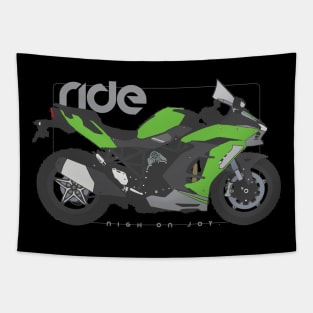 RIde ninja h2 sx se+ green Tapestry