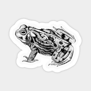 Vintage Toad Sketch Magnet