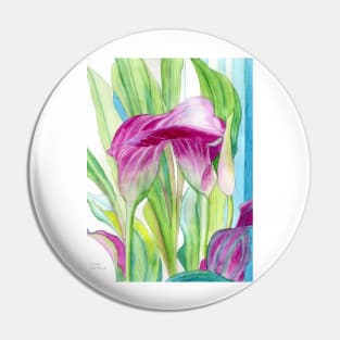 Pink Calla lilies watercolour painting Pin