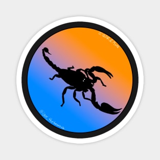 Scorpion Light Blue/Orange Gradient Magnet