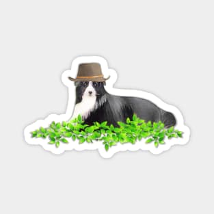 Border Collie Dog Magnet