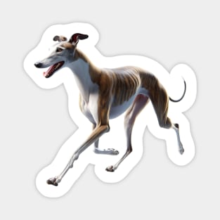 Greyhound Magnet