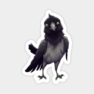 Cute Crow Drawing Magnet