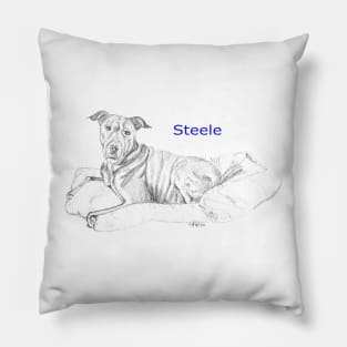 Steele! Pillow