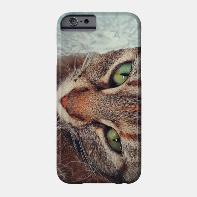 Closeup Cat Face Cat Close Up Phone Case Teepublic