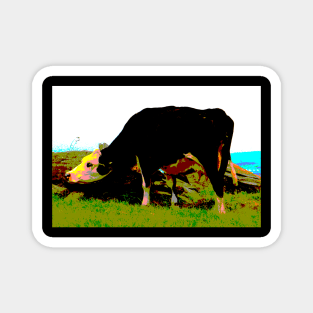 The Irish Cow in Colour! Magnet