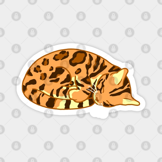 Sleeping Bengal Magnet by CCDesign