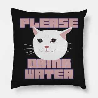 Please Drink Water Pillow