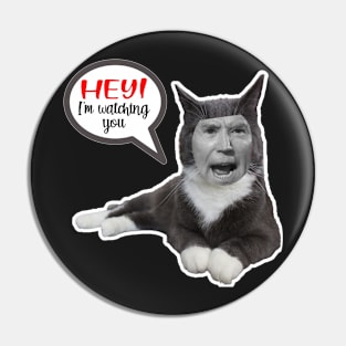 CAT SAYS HEY ~ CAT STICKERS OF ANGRY CAT GRAY CAT FUNNY BIDEN MEME QUOTE Pin